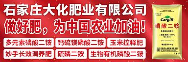 石家庄大化肥业磷酸二铵诚招代理